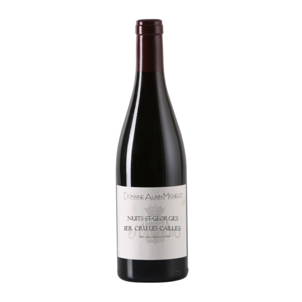人気の贈り物が大集合 Domaine Alain Michelot Nuits-Saint-Georges 1er Cru Champs ワイン