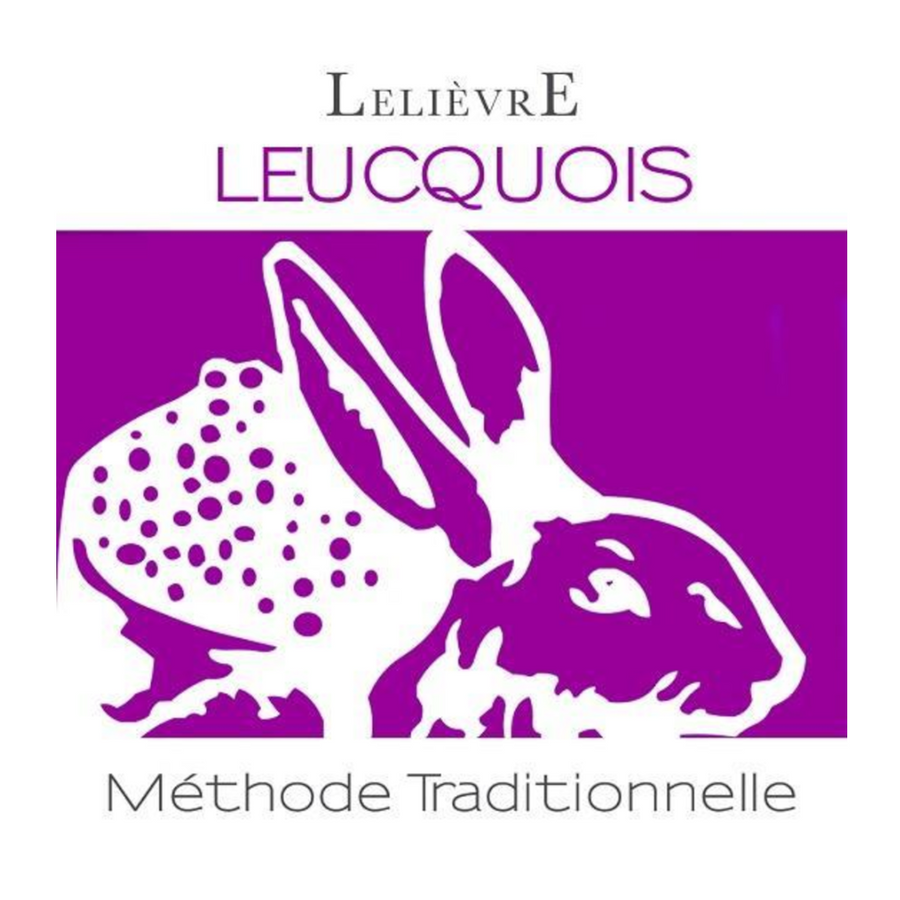 Domaine Lelievre Sparkling Gamay Rosé Leucquois